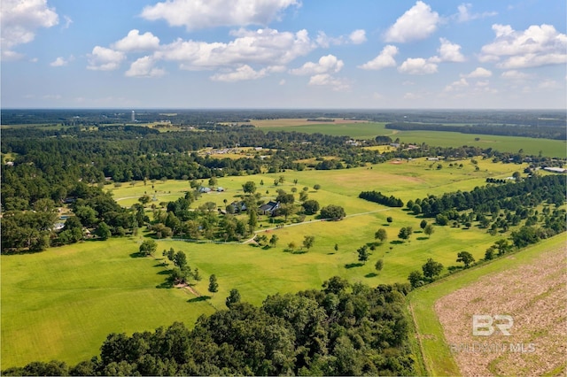 24235 County Road 87, Robertsdale, AL 36567 - view of rural area