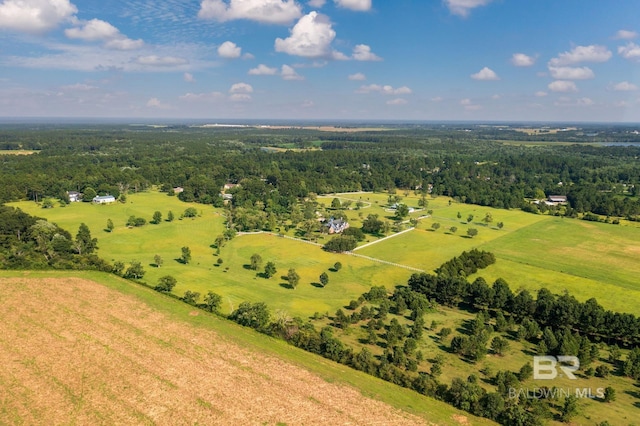 24235 County Road 87, Robertsdale, AL 36567 - overview of rural landscape featuring a forest