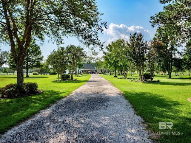 24235 County Road 87, Robertsdale, AL 36567 - surrounding community featuring a lawn