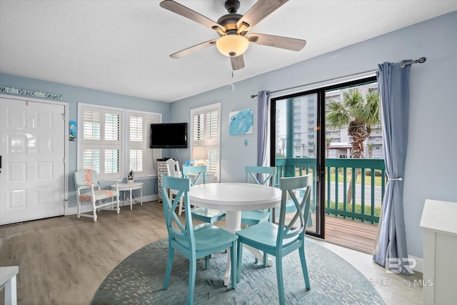 dining room with ceiling fan and light hardwood / wood-style floors