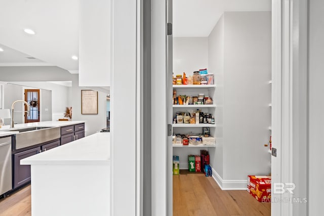 pantry with sink