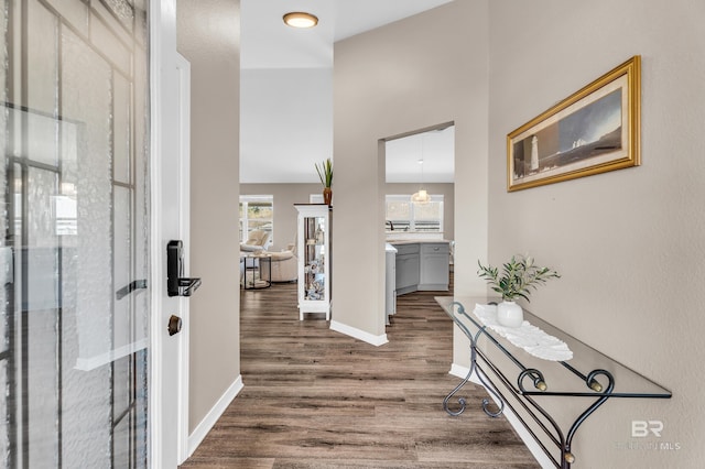 foyer featuring baseboards and wood finished floors