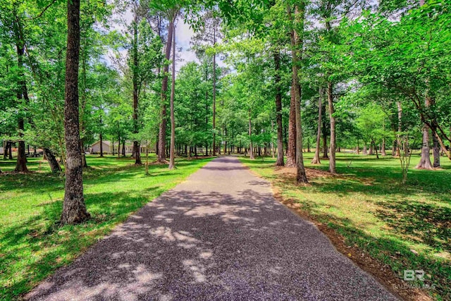 917 Rockaway Creek Rd, Atmore, AL 36502 - surrounding community with driveway and a yard