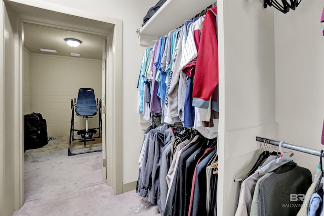917 Rockaway Creek Rd, Atmore, AL 36502 - walk in closet with carpet flooring