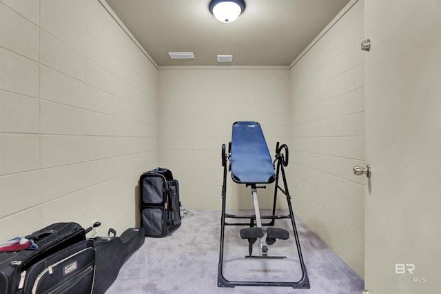 917 Rockaway Creek Rd, Atmore, AL 36502 - exercise room with ornamental molding, carpet flooring, and visible vents