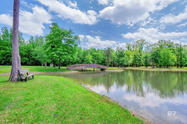 917 Rockaway Creek Rd, Atmore, AL 36502 - property view of water