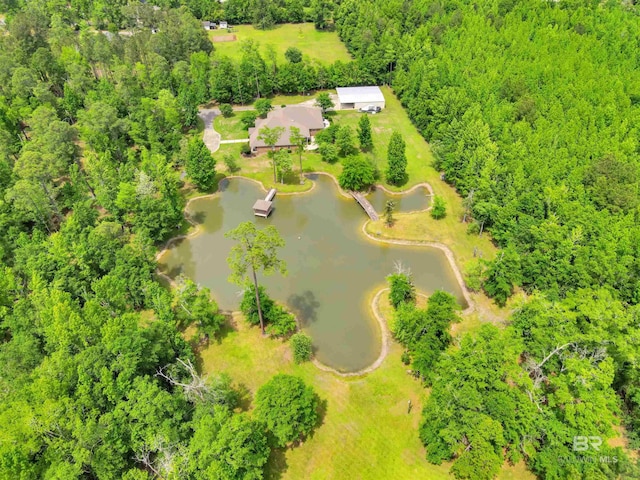 917 Rockaway Creek Rd, Atmore, AL 36502 - drone / aerial view featuring a wooded view and a water view