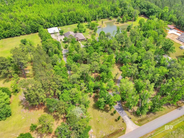 917 Rockaway Creek Rd, Atmore, AL 36502 - drone / aerial view with a wooded view and a water view
