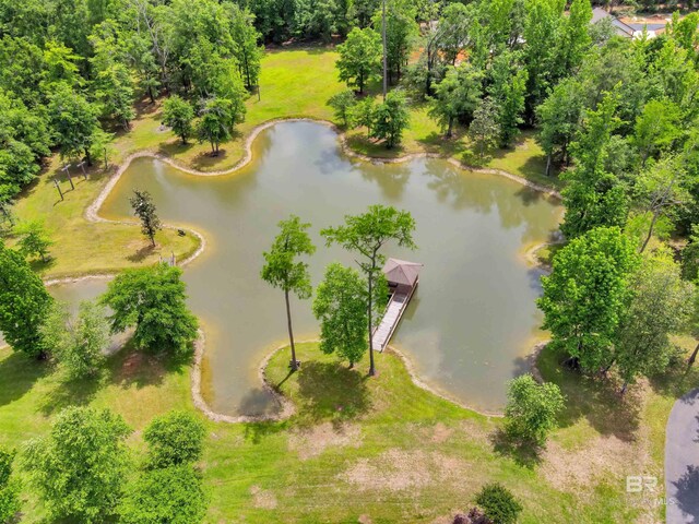 917 Rockaway Creek Rd, Atmore, AL 36502 - bird's eye view featuring a water view