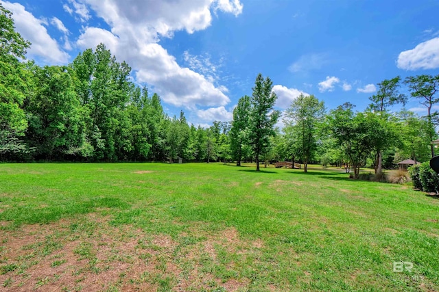 917 Rockaway Creek Rd, Atmore, AL 36502 - view of yard