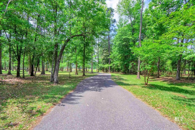 917 Rockaway Creek Rd, Atmore, AL 36502 - view of road