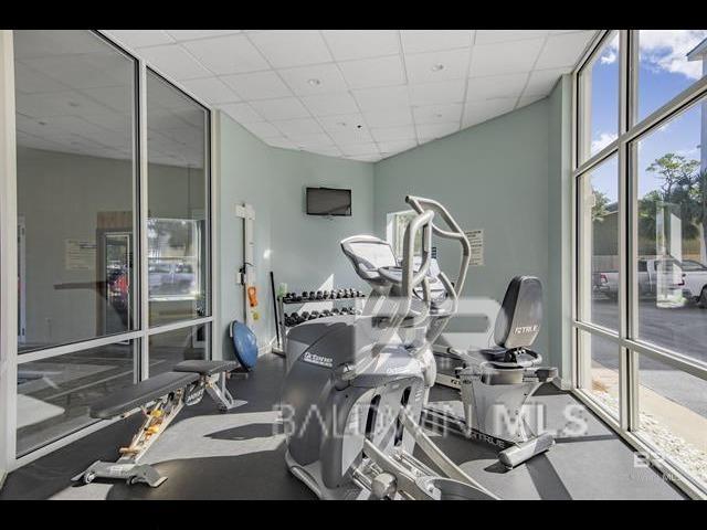 exercise room with expansive windows and a drop ceiling