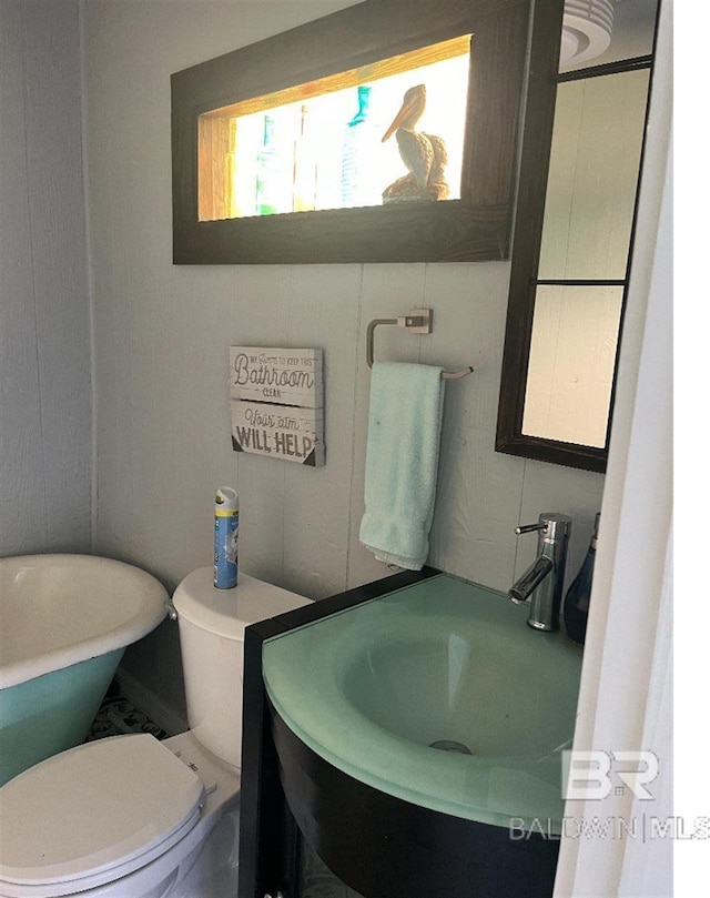 bathroom with vanity, toilet, and a washtub