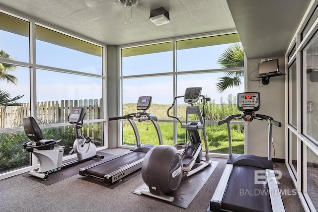 26750 Perdido Beach Blvd Unit 708, Orange Beach, AL 36561 - workout area featuring floor to ceiling windows