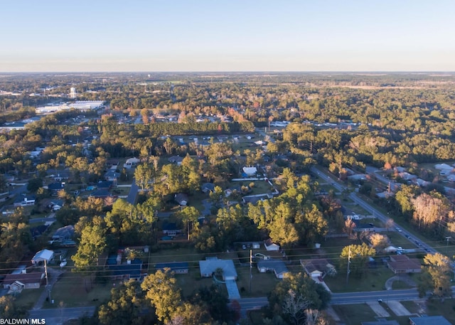 view of bird's eye view