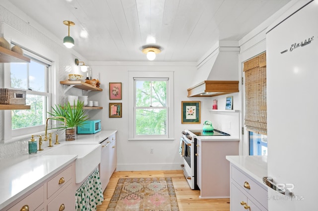 laundry area featuring wooden ceiling, light wood-style floors, baseboards, and a sink