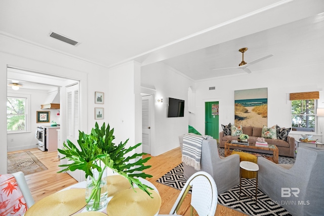 living room featuring a ceiling fan, light wood-type flooring, ornamental molding, and visible vents