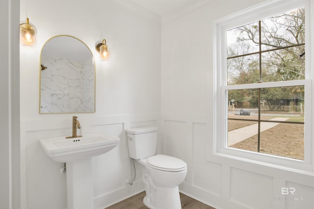 bathroom with wainscoting, toilet, wood finished floors, a decorative wall, and a sink