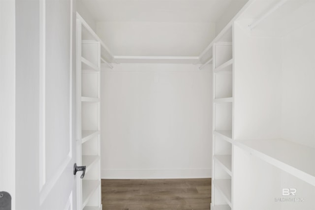 walk in closet featuring wood finished floors