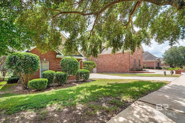 view of property hidden behind natural elements featuring a front yard