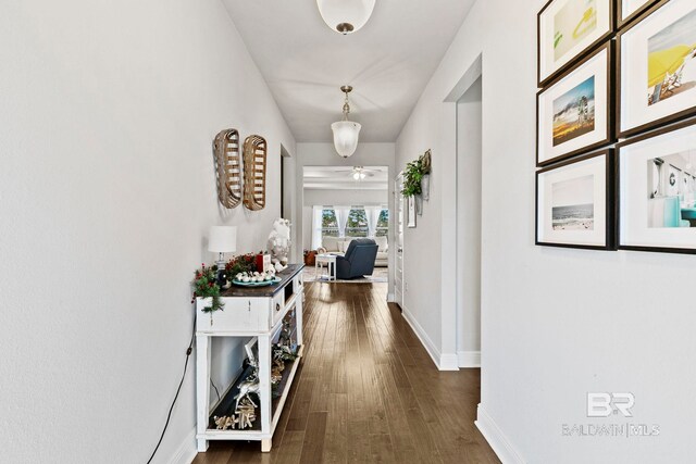 hallway featuring dark hardwood / wood-style flooring