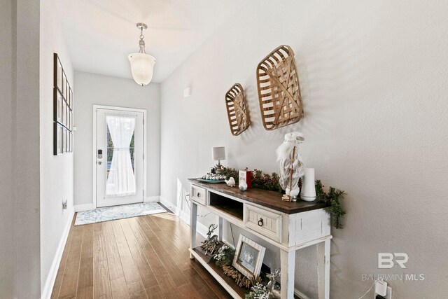 entryway with dark wood-type flooring