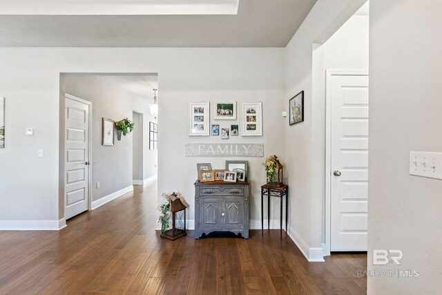 hallway with dark hardwood / wood-style floors