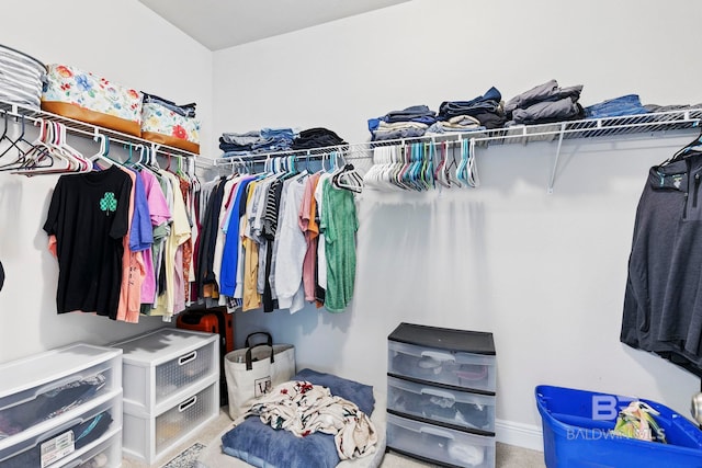 spacious closet featuring light colored carpet