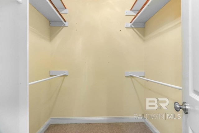 6505 Charing Wood Dr, Mobile, AL 36695 - walk in closet featuring carpet floors