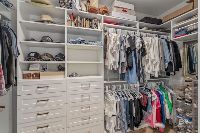 view of walk in closet