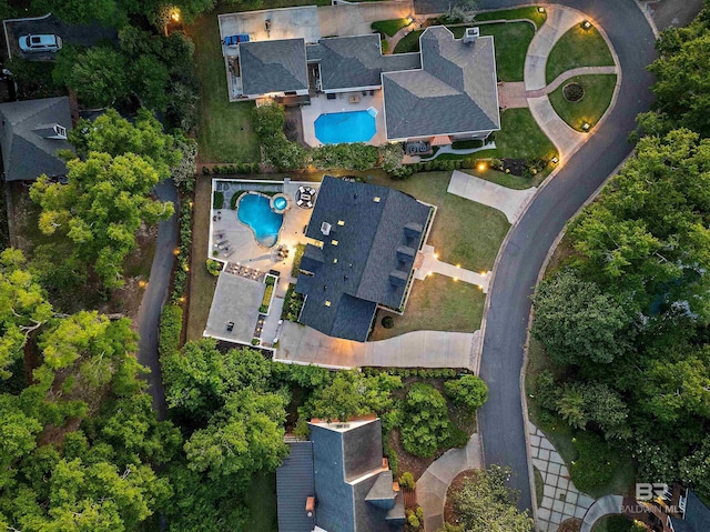 bird's eye view