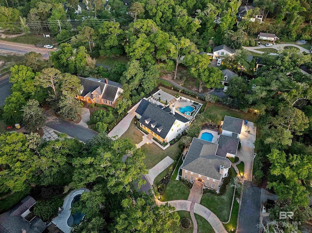 drone / aerial view