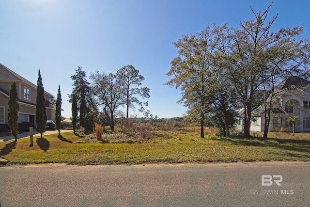 9065 Bay Point Dr, Elberta AL, 36530 land for sale