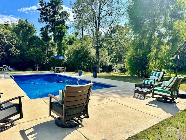 view of pool with a patio