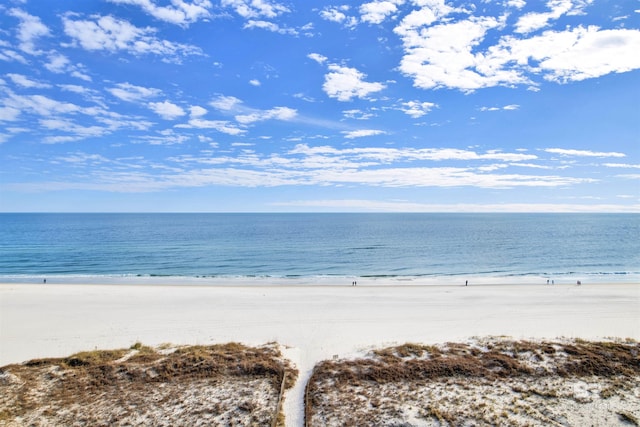 water view featuring a view of the beach