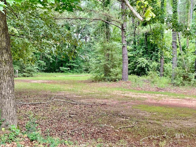 Listing photo 3 for LOT58 Riverview Landing Dr, Camden AL 36726