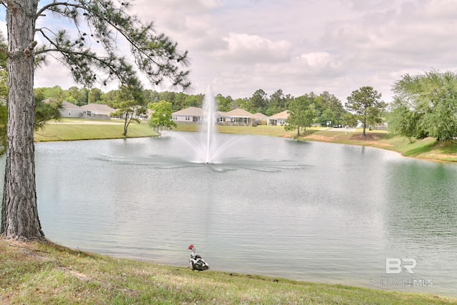 water view