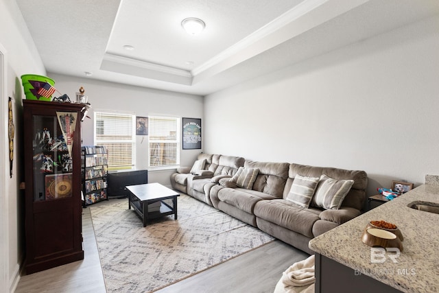 living room with light hardwood / wood-style floors and a tray ceiling