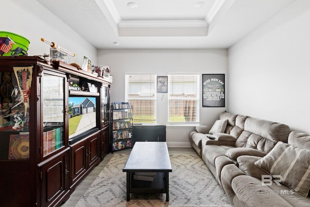 living room with ornamental molding, light hardwood / wood-style flooring, and a raised ceiling