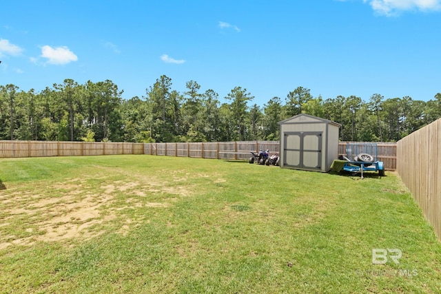 view of yard featuring a storage shed