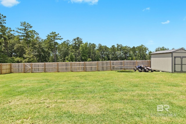 view of yard with a shed