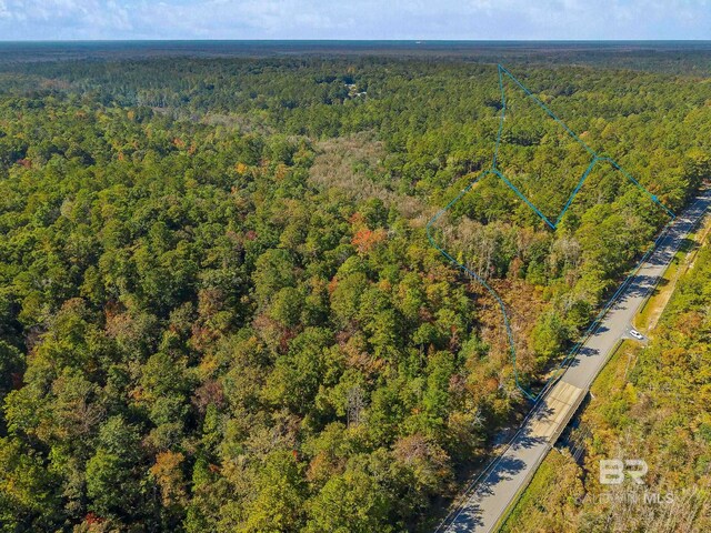 51655 State Highway 59, Stockton AL, 36579 land for sale