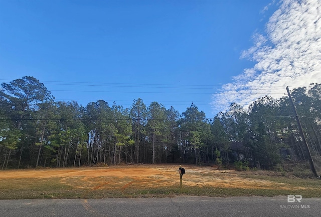 500 Owassa Rd, Evergreen AL, 36401 land for sale