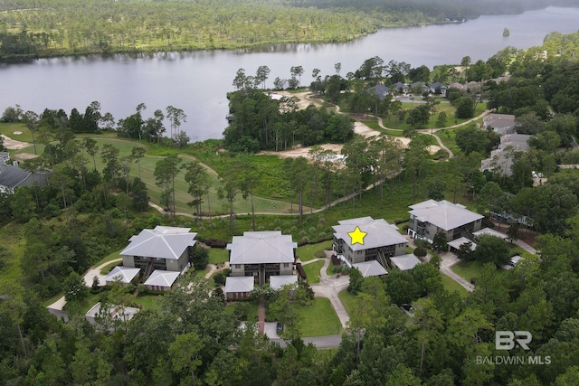 bird's eye view featuring a water view