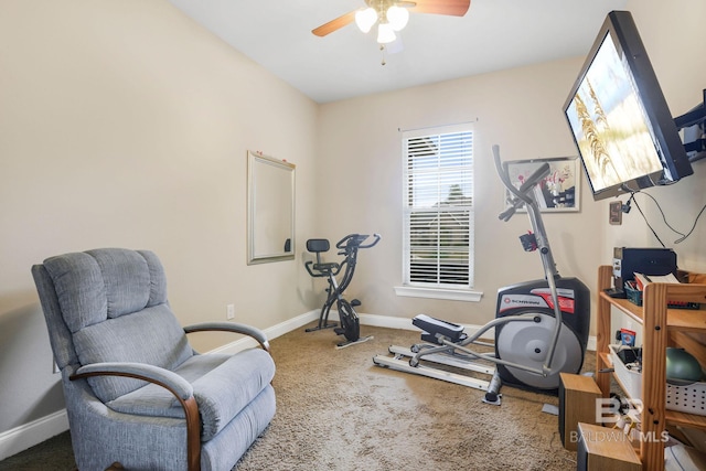 exercise area featuring ceiling fan and carpet