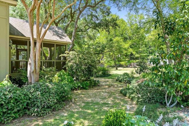 view of yard featuring a sunroom