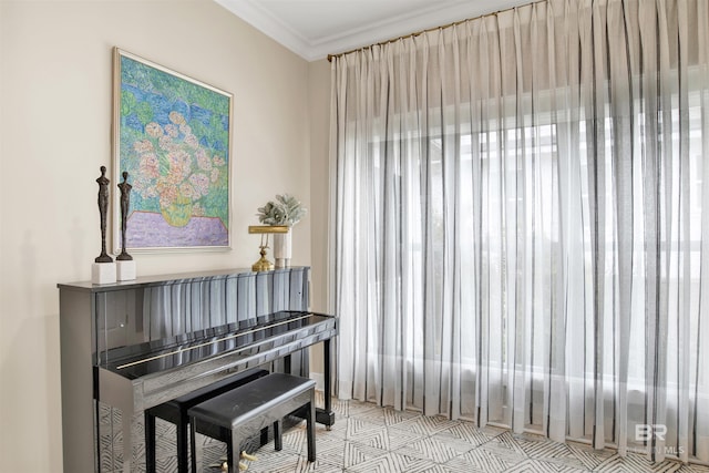 misc room featuring plenty of natural light and crown molding