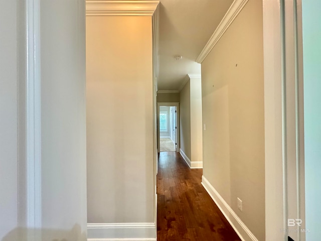 hallway featuring crown molding and dark hardwood / wood-style flooring