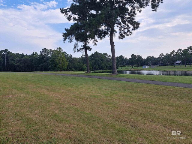 view of property's community featuring a yard