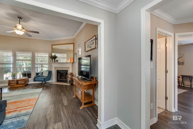 hallway featuring ornamental molding, dark hardwood / wood-style floors, and a textured ceiling